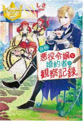无声之城完结动画海报与集数